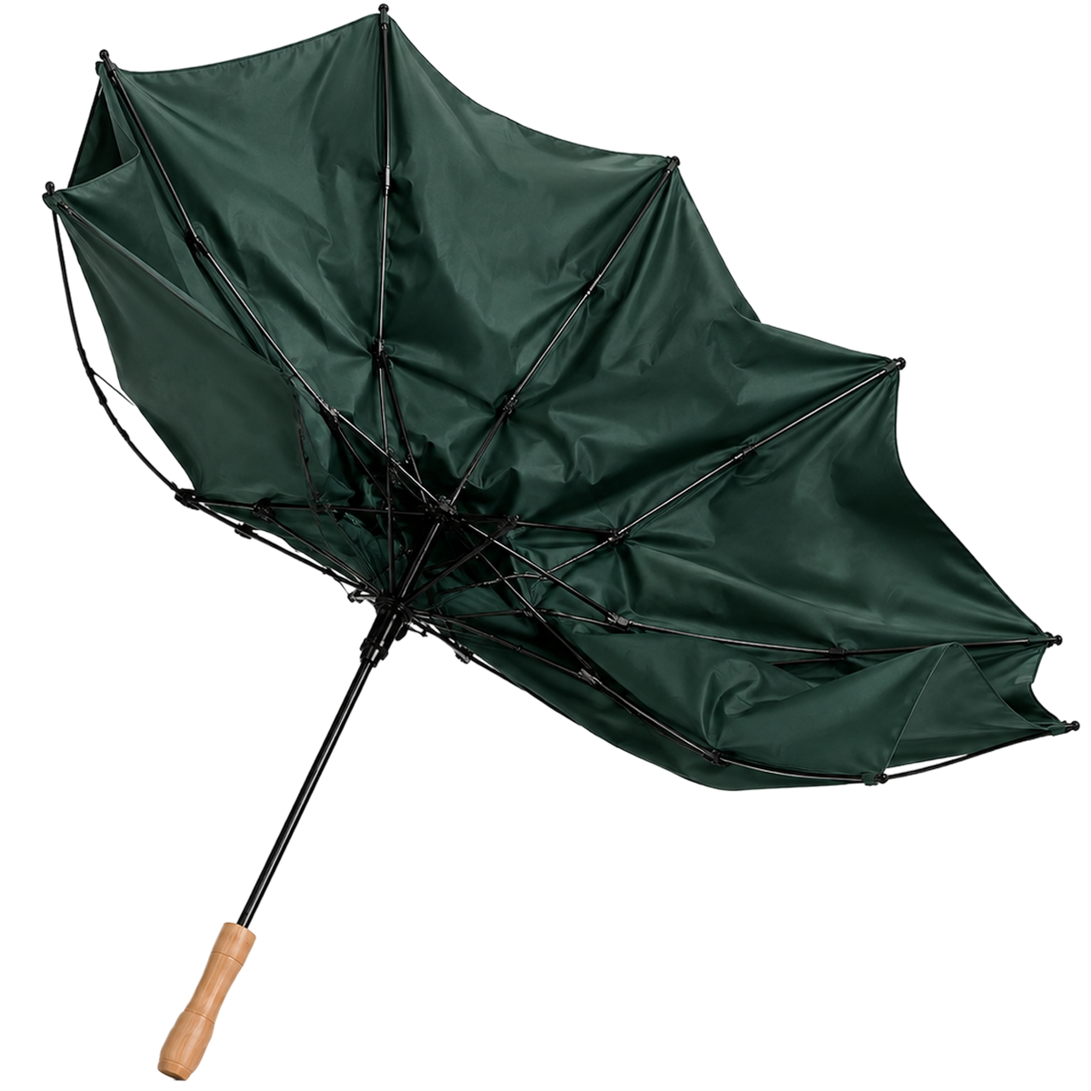 Umbrella